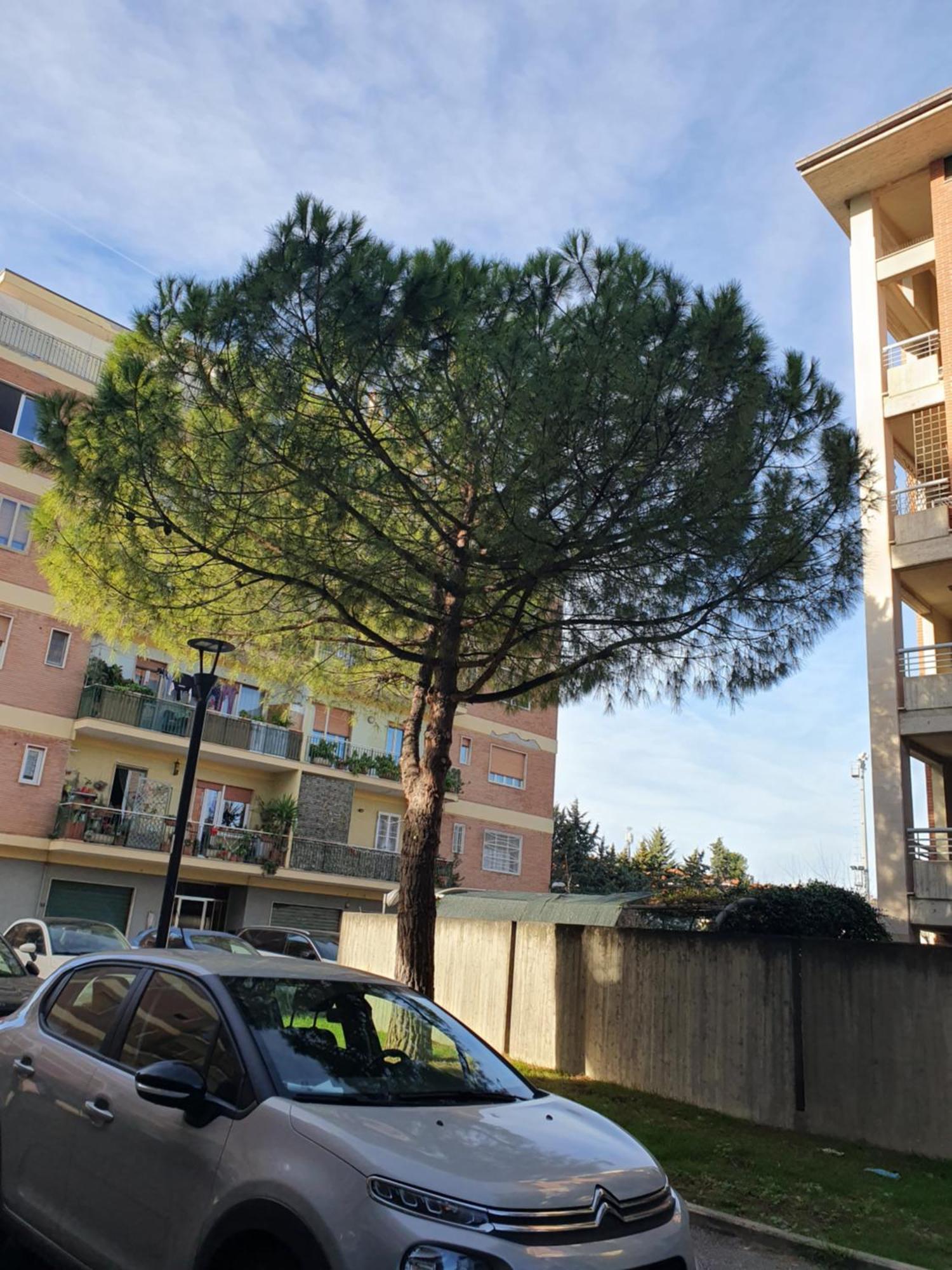 Appartamento Di Delfina Пескара Экстерьер фото